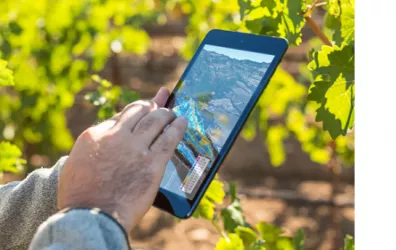 Das iPad und der Weinstock von morgen : ein Millesime wie früher, aber in der heutigen Zeit